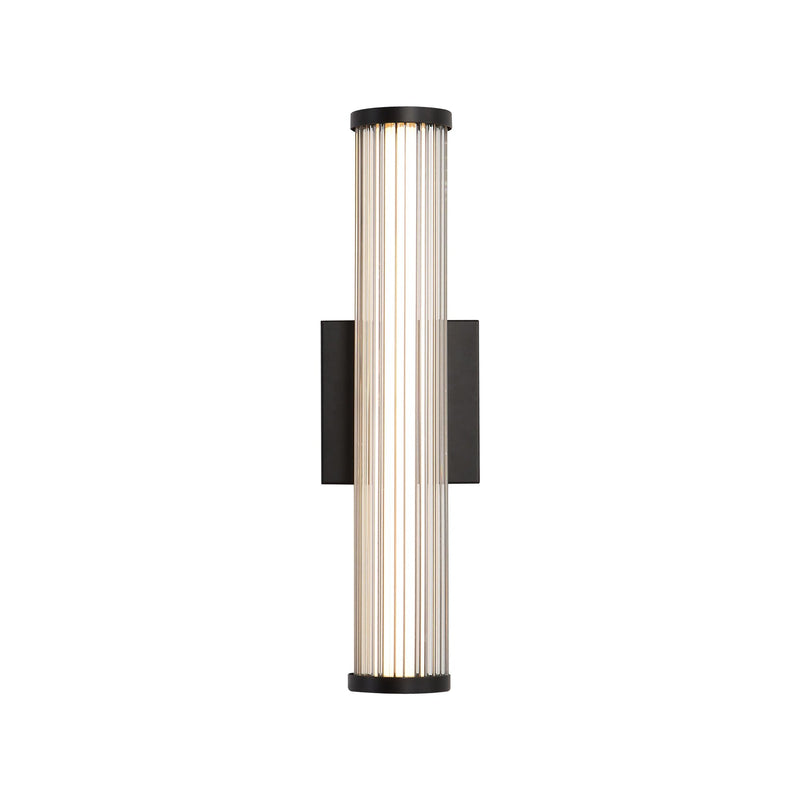 Rodara 17" LED Outdoor Wall Sconce in Matte Black