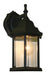 Waterdown 1 Light Outdoor Wall Light in Black with Clear Beveled Glass
