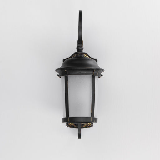 Dover 1 Light 24.5" Outdoor Wall Lantern in Bronze