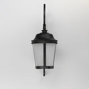 Dover 1 Light 31.5" Outdoor Wall Lantern in Bronze