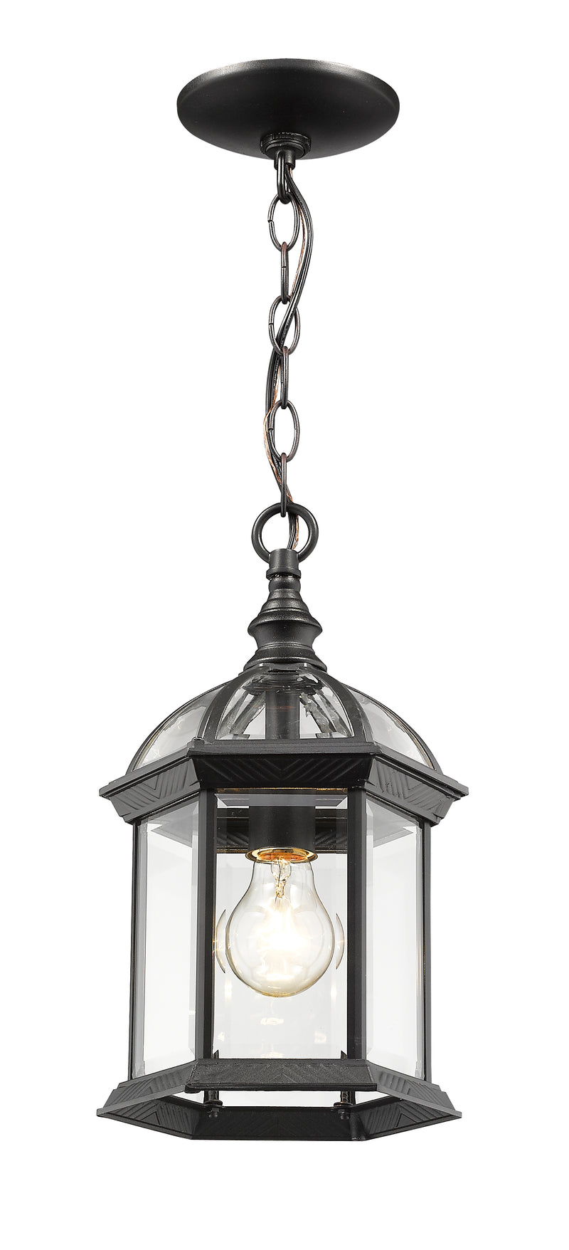 Annex 1 Light 8" Outdoor Chain Mount Ceiling Fixture in Black