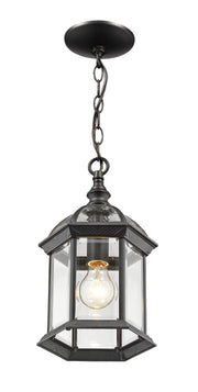 Annex 1 Light 8" Outdoor Chain Mount Ceiling Fixture in Black