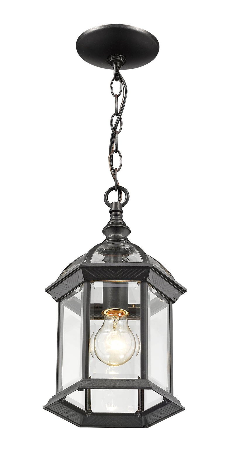 Annex 1 Light 8" Outdoor Chain Mount Ceiling Fixture in Black