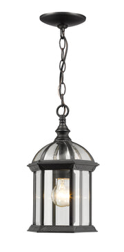 Annex 1 Light 8" Outdoor Chain Mount Ceiling Fixture in Black