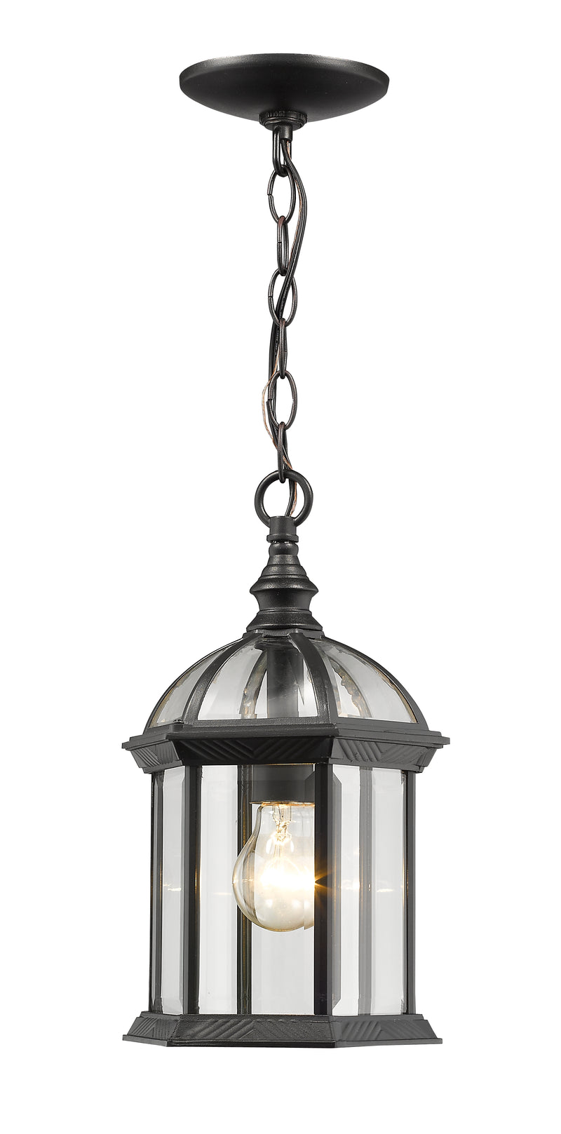 Annex 1 Light 8" Outdoor Chain Mount Ceiling Fixture in Black