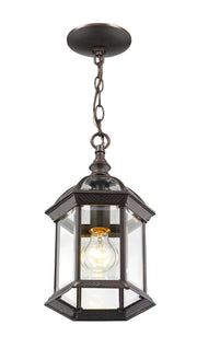 Annex 1 Light 8" Outdoor Chain Mount Ceiling Fixture in Rust