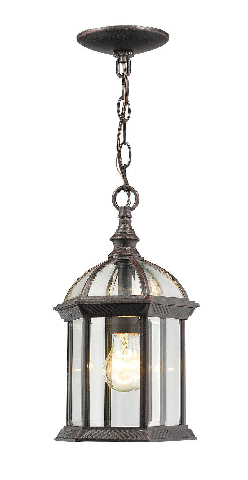 Annex 1 Light 8" Outdoor Chain Mount Ceiling Fixture in Rust
