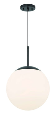 Gaze 1 Light 14" Pendant in Flat Black
