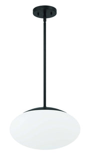 Gaze 1 Light 14" Pendant in Flat Black
