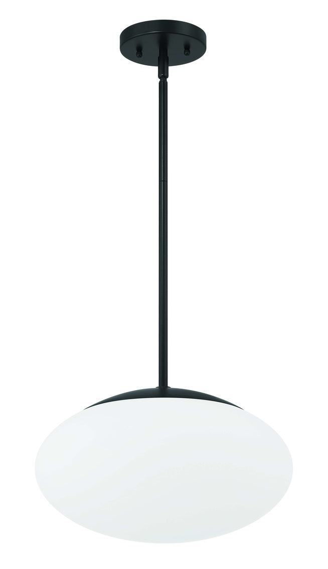 Gaze 1 Light 14" Pendant in Flat Black