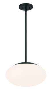 Gaze 1 Light 14" Pendant in Flat Black