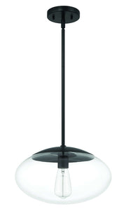 Gaze 1 Light 14" Pendant in Flat Black