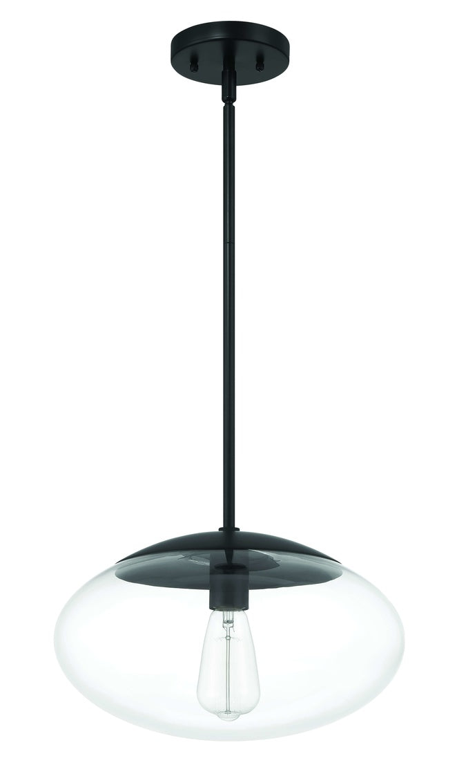 Gaze 1 Light 14" Pendant in Flat Black