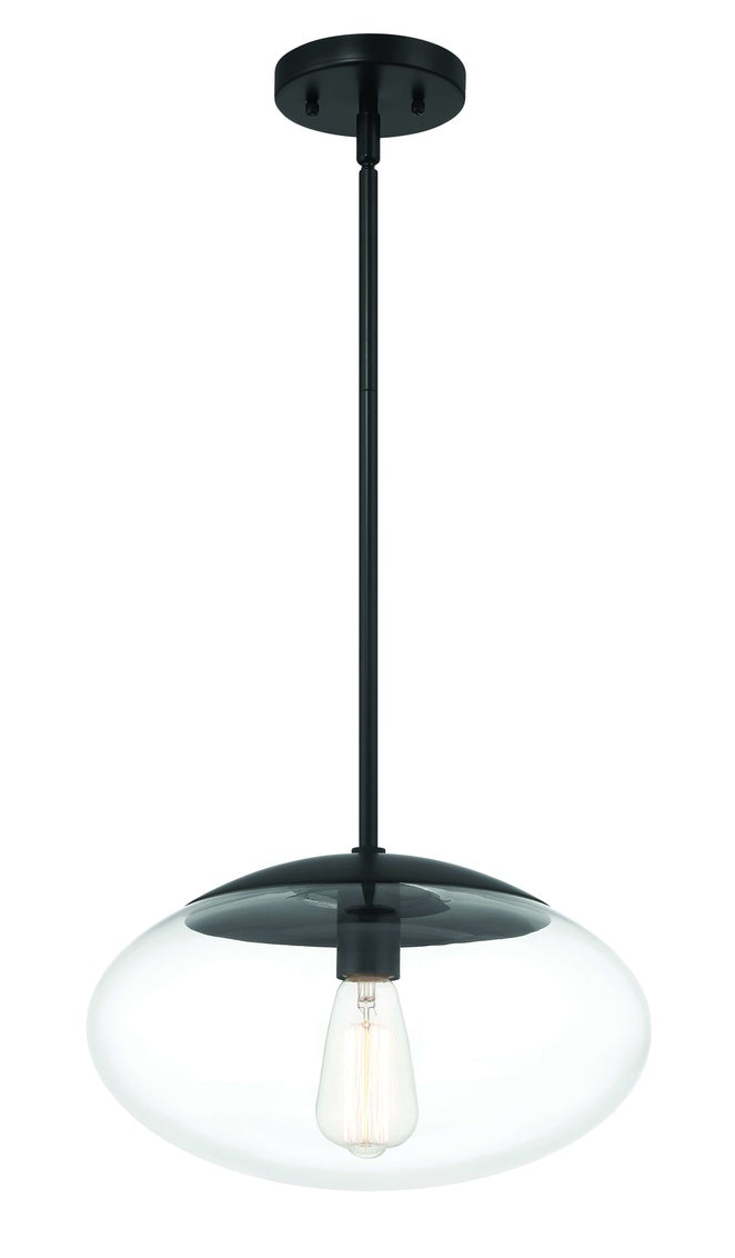 Gaze 1 Light 14" Pendant in Flat Black