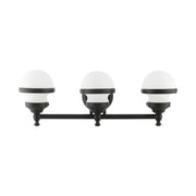 Oldwick 3-Light Bath Vanity Light in Black