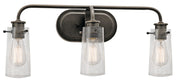 Braelyn 3-Light Bath Vanity Light in Olde Bronze