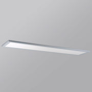 Sky 12" x 48" LED Flush Mount in Brushed Aluminum