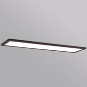 Sky 12" x 48" LED Flush Mount in Bronze