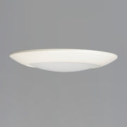 Diverse 11" LED Flush Mount in White