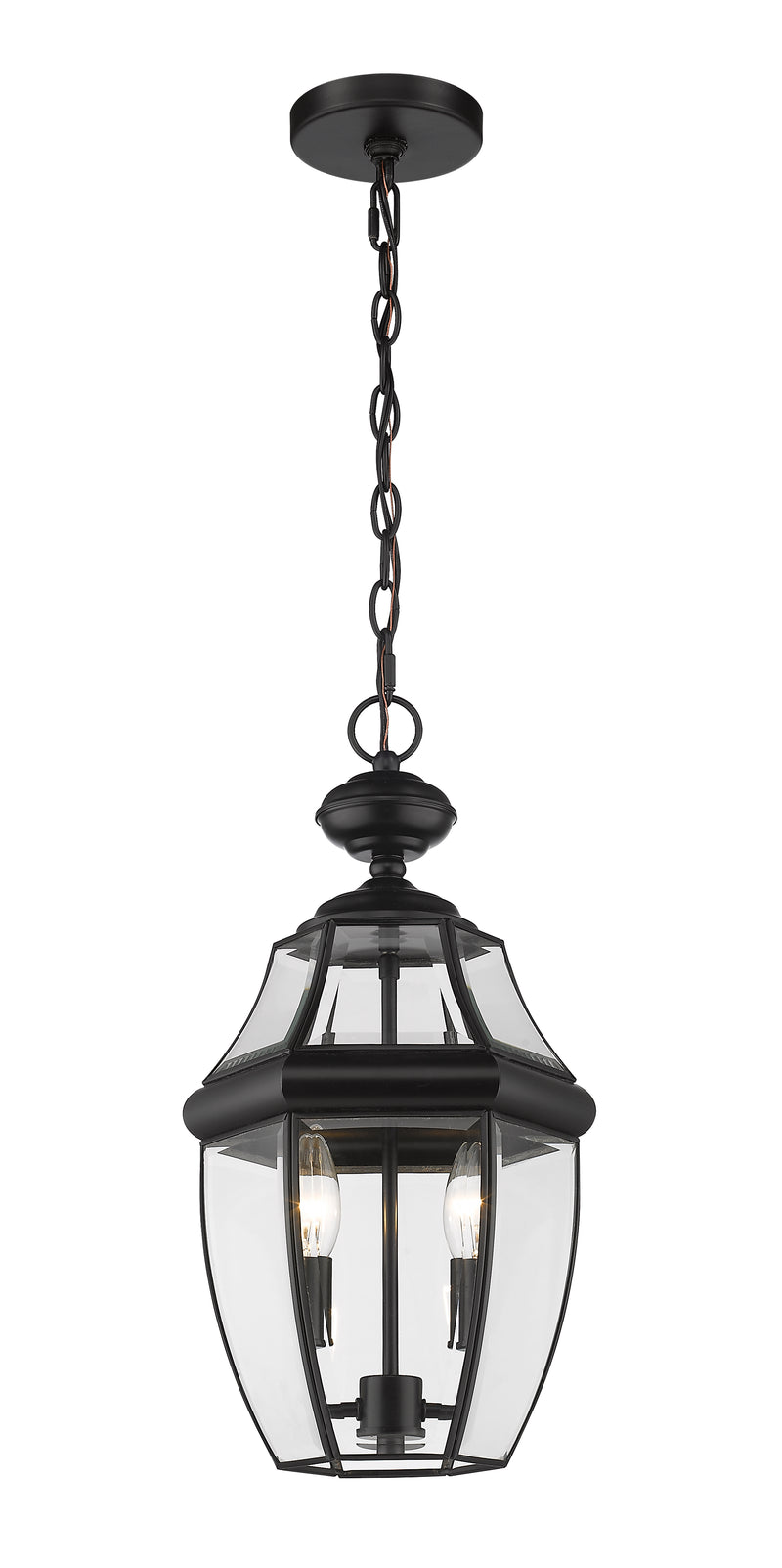 Westover 2 Light 8.75" Outdoor Chain Mount Ceiling Fixture in Black