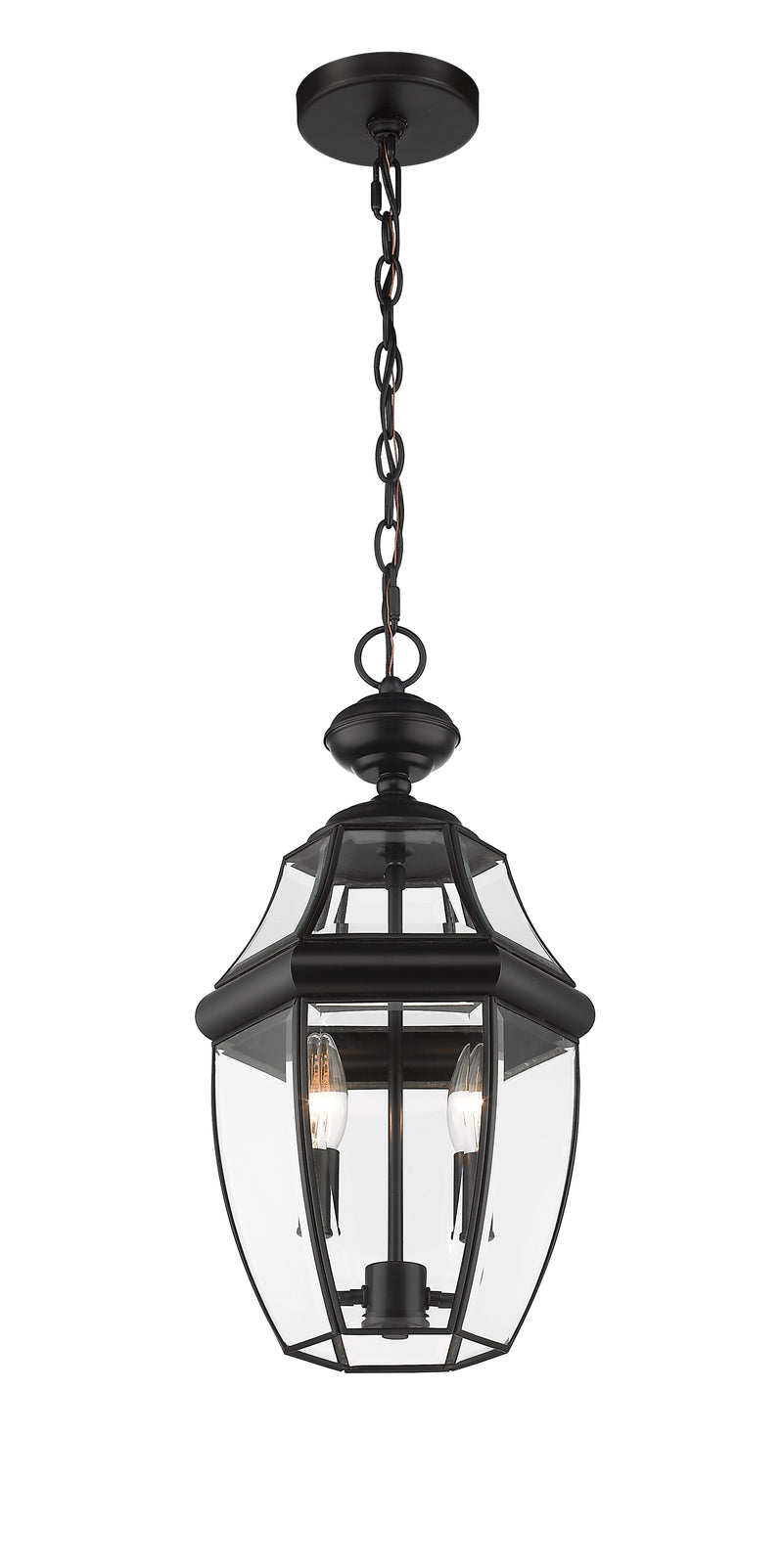 Westover 2 Light 8.75" Outdoor Chain Mount Ceiling Fixture in Black