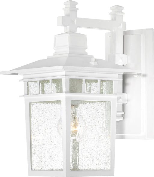 Cove Neck 1-Light Outdoor Wall in White / Glass