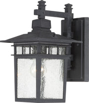 Cove Neck 14" Outdoor Wall Lantern in Textured Black