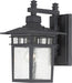 Cove Neck 1-Light Outdoor Wall in Textured Black