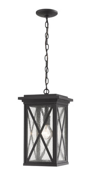 Brookside 1 Light 9.5" Outdoor Chain Mount Ceiling Fixture in Black