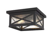 Brookside 2 Light 12" Outdoor Flush Mount in Black