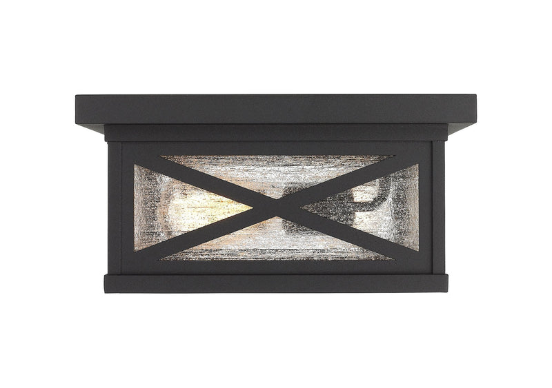Brookside 2 Light 12" Outdoor Flush Mount in Black