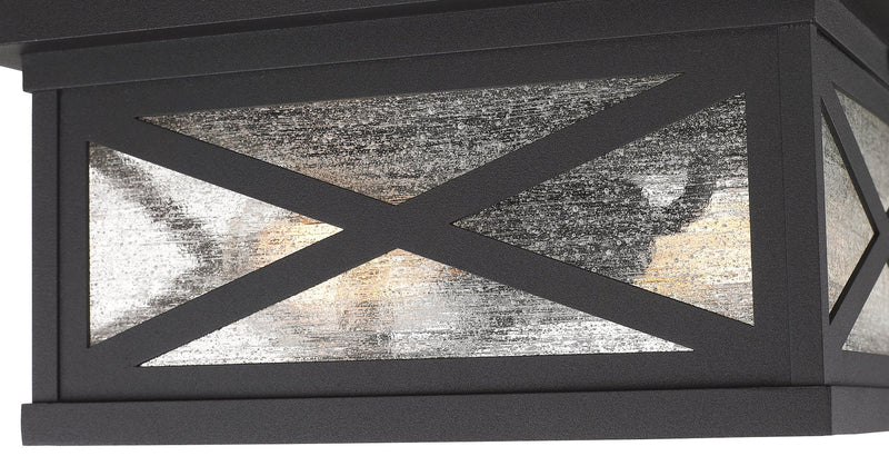 Brookside 2 Light 12" Outdoor Flush Mount in Black