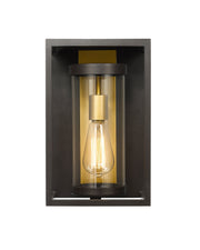 Dunbroch 1 Light 8" Outdoor Wall Light, 13" Tall in Deep Bronze + Outdoor Brass