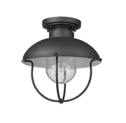 Ansel 1 Light 11" Outdoor Flush Mount in Black