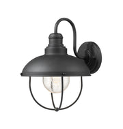 Ansel 1 Light 10.75" Outdoor Wall Light in Black