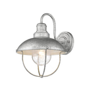 Ansel 1 Light 10.75" Outdoor Wall Light in Galvanized