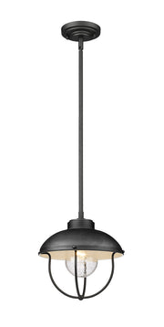 Ansel 1 Light 11" Outdoor Pendant in Black