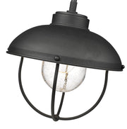 Ansel 1 Light 11" Outdoor Pendant in Black