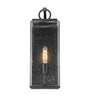 Sana 1 Light 6.75" Outdoor Wall Light in Clear Seedy