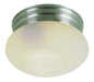Dash 2-Light Flushmount in Brushed Nickel with Marbleized Glass
