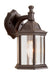 Cumberland 1-Light Wall Lantern in Rust with Clear Glass