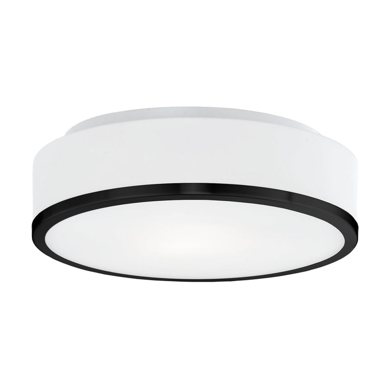 Charlie 12" 2-Light Flush Mount in Black