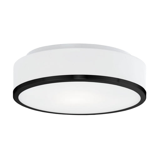 Charlie 12" 2-Light Flush Mount in Black
