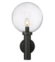 Laurent 1 Light 12" Outdoor Wall Light in Clear Seedy