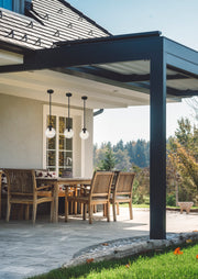 Laurent 1 Light 8" Outdoor Pendant, Clear Seedy Shade in Black in a room setting