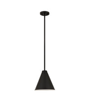 Eaton 1 Light 12" Pendant in Matte Black