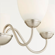 5 Light Glass Shade Chandelier in Satin Nickel