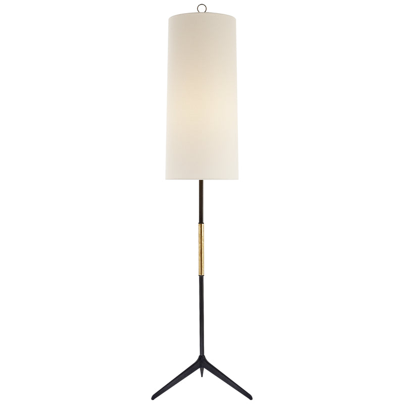 Frankfort One Light Floor Lamp in Aged Iron
