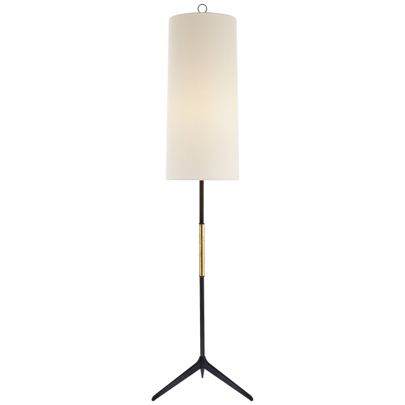 Frankfort One Light Floor Lamp in Aged Iron