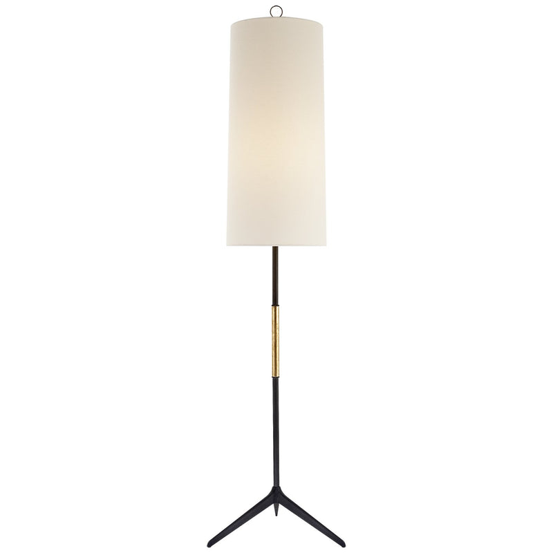 Frankfort Floor Lamp in Aged Iron